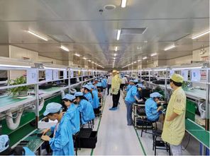 蘇寧拼購(gòu)拼拼工廠再升級(jí) 老人機(jī)企業(yè)擁抱互聯(lián)網(wǎng)銷(xiāo)售，迎來(lái)增長(zhǎng)新動(dòng)力